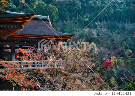 京都　晩秋の清水寺 114491421