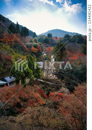 京都 晩秋の清水寺 京都 晩秋の清水寺 114491422