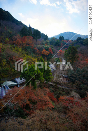 京都 晩秋の清水寺 京都 晩秋の清水寺 114491424
