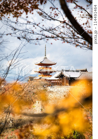 京都　晩秋の清水寺 114491464