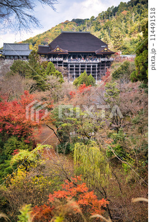 京都 晩秋の清水寺 京都 晩秋の清水寺 114491518