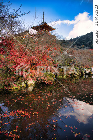 京都 晩秋の清水寺 京都 晩秋の清水寺 114491523