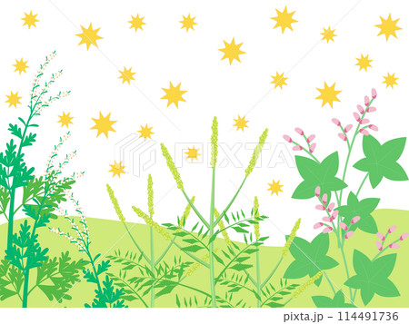 秋に花粉を飛ばす植物の背景 秋に花粉を飛ばす植物の背景 114491736