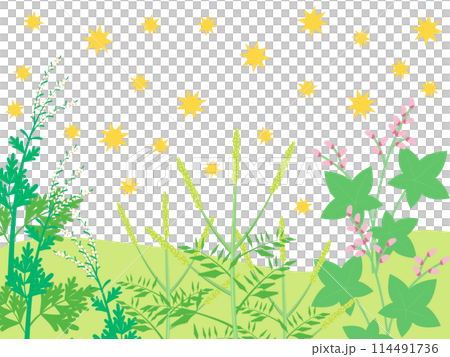 秋に花粉を飛ばす植物の背景 秋に花粉を飛ばす植物の背景 114491736