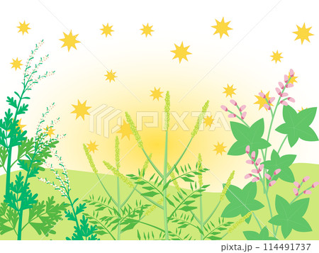 秋に花粉を飛ばす植物のイラスト 秋に花粉を飛ばす植物のイラスト 114491737