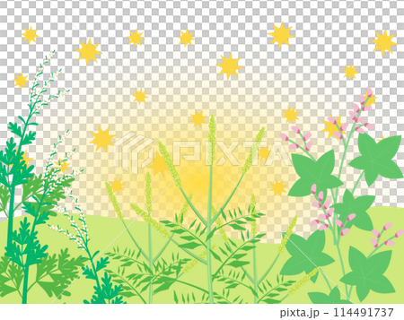 秋に花粉を飛ばす植物のイラスト 秋に花粉を飛ばす植物のイラスト 114491737