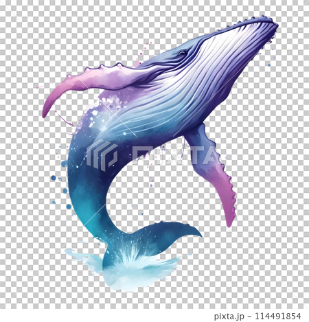 3d breaching humpback whale  114491854