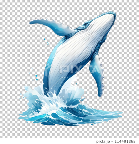 breaching humpback whale 114491868