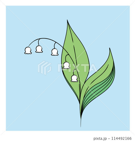 シンプルなスズランのイラスト カラー02 シンプルなスズランのイラスト カラー02 114492166