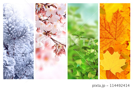 Four seasons of year. Set of vertical nature banners with winter, spring, summer and autumn scenes. Nature collage with seasonal scenics. Copy space for text Four seasons of year. Set of vertical nature banners with winter, spring, summer and autumn scenes. Nature collage with seasonal scenics. Copy space for text 114492414