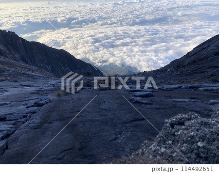 マレーシアのキナバル山の雲海 マレーシアのキナバル山の雲海 114492651