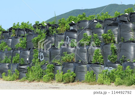 土のう積み上げで土砂崩れ防止 土のう積み上げで土砂崩れ防止 114492792