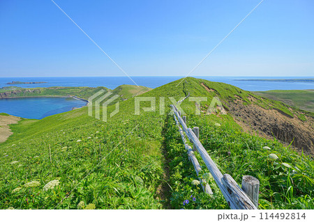 岬巡りコース 岬巡りコース 114492814