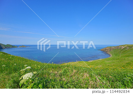 岬巡りコース 114492834