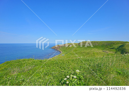 岬巡りコース 114492836