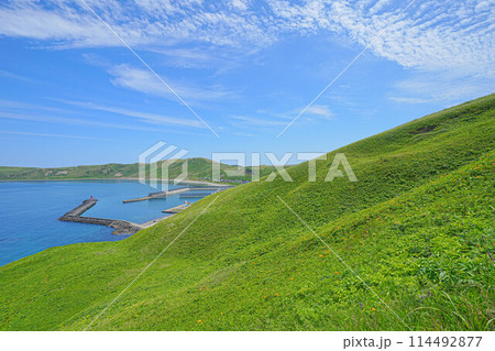 岬巡りコース 114492877