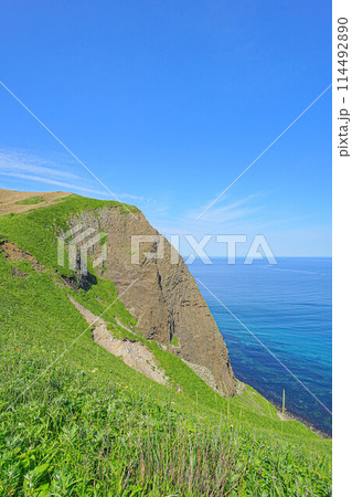 岬巡りコース 114492890