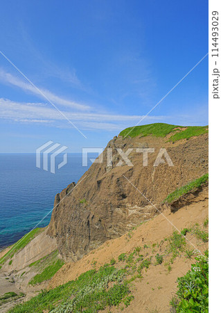 岬巡りコース 114493029