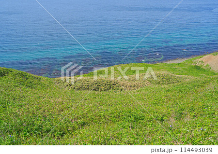 岬巡りコース 114493039