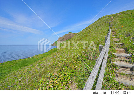 岬巡りコース 114493059