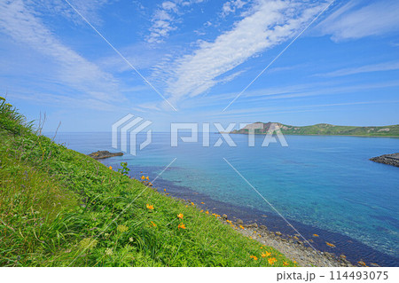 岬巡りコース 114493075