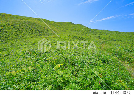 岬巡りコース 114493077