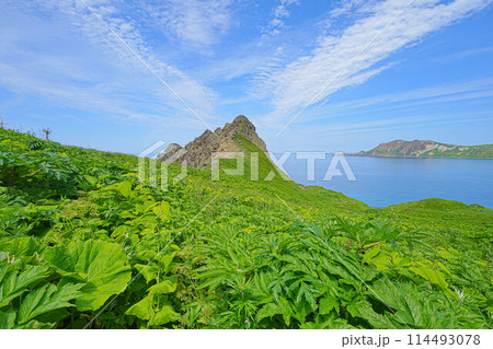 岬巡りコース 岬巡りコース 114493078