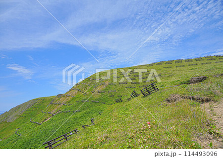 岬巡りコース 岬巡りコース 114493096