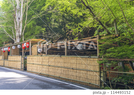 京都　貴船の川床　新緑の季節 114493152
