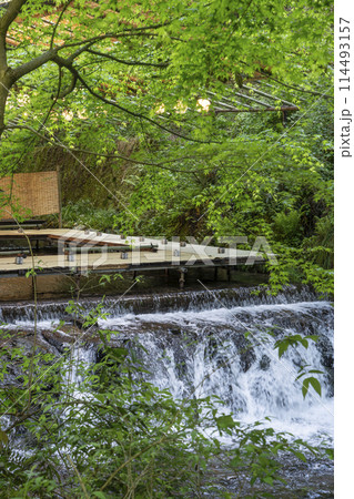 京都　貴船の川床　新緑の季節 114493157