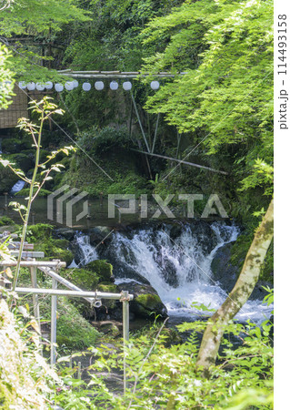 京都　貴船の川床　新緑の季節 114493158