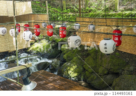 京都　貴船の川床　新緑の季節 114493161