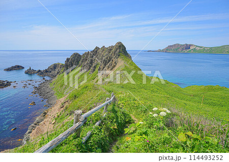 岬巡りコース 岬巡りコース 114493252
