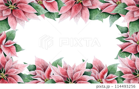 Vintage poinsettia flowers with green leaves square frame isolated watercolor illustration for Christmas greeting banners and cards. Winter holidays florals template with copy space for text Vintage poinsettia flowers with green leaves square frame isolated watercolor illustration for Christmas greeting banners and cards. Winter holidays florals template with copy space for text 114493256