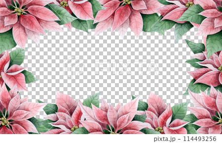 Vintage poinsettia flowers with green leaves square frame isolated watercolor illustration for Christmas greeting banners and cards. Winter holidays florals template with copy space for text Vintage poinsettia flowers with green leaves square frame isolated watercolor illustration for Christmas greeting banners and cards. Winter holidays florals template with copy space for text 114493256