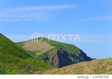 岬巡りコース 114493302