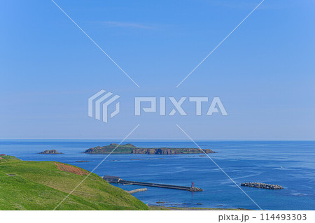 岬巡りコース 114493303