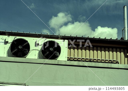 the roof of the building the roof of the building 114493805
