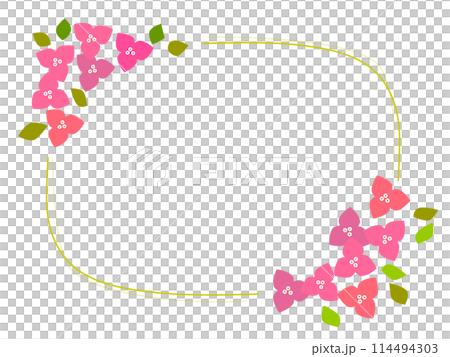 Simple and cute bougainvillea frame 114494303