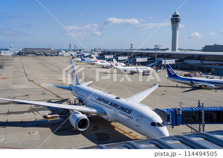 中部国際空港セントレア『スカイデッキ』からの展望・エプロンで駐機する国内線旅客機 114494505