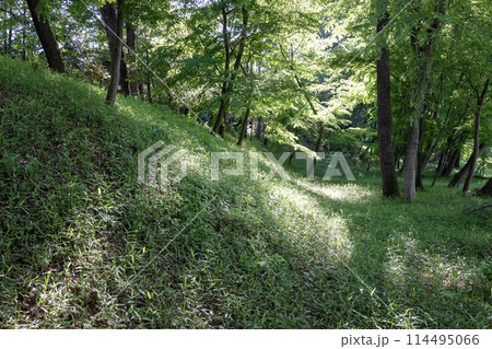 古河公方館跡 土塁 古河公方館跡 土塁 114495066