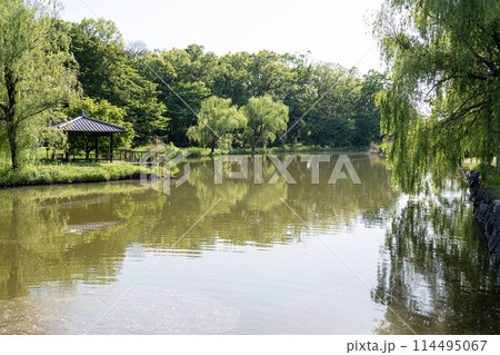 古河公方館跡に残る御所沼 114495067