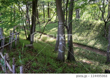 古河公方館に残る空堀跡 古河公方館に残る空堀跡 114495068