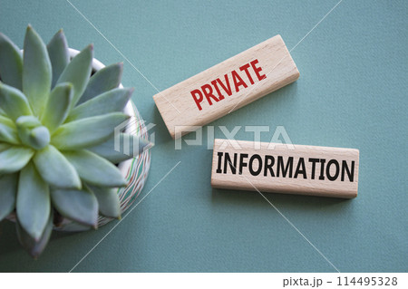 Private Information symbol. Wooden blocks with words Private Information. Beautiful grey green background with succulent plant. Business and Private Information concept. Copy space. 114495328