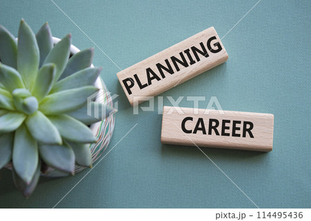 Planning Career symbol. Wooden blocks with words Planning Career. Beautiful grey green background with succulent plant. Business and Planning Career concept. Copy space. 114495436