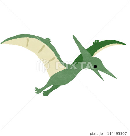 プテラノドン(テクスチャ有) 114495507