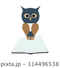 Owl on open empty book. Isolated owl character flat design Jpeg illustration 114496538