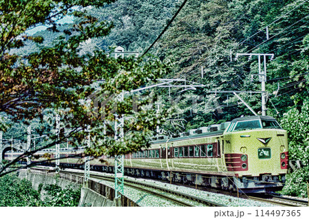 上越線の特急電車 上越線の特急電車 114497365