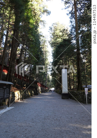 日光二荒山神社に続く参道 上新道 114497513
