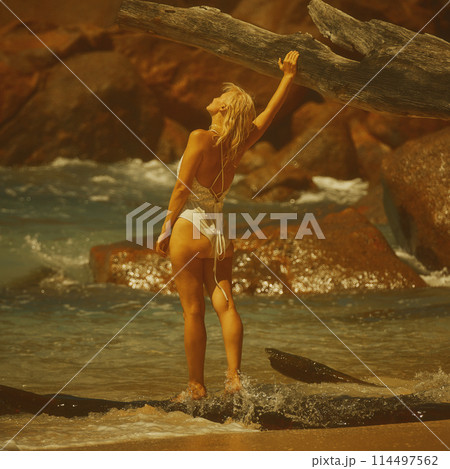 Portrait of a woman with long blond hair on a tropical beach Portrait of a woman with long blond hair on a tropical beach 114497562